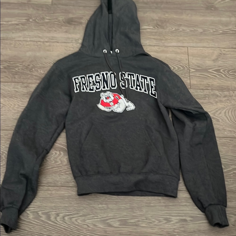 Champion Gray Sweatshirt Hoodie